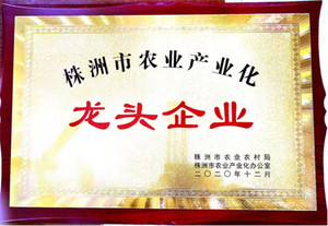 龙头企业